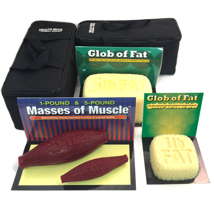 Globs of Fat and Masses of Muscle Set 1 lb and 5 lb for health education by Health Edco, models with realistic feel, 26040
