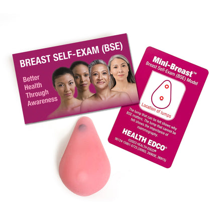 Mini-Breast Model, Pink, breast health education model, breast self-exam guide, and lump key, Health Edco, 26915