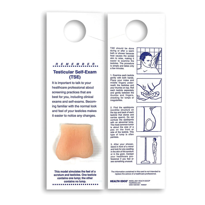 Mini-Testicle Shower Card, men's health education testicular self-exam card with beige testicle model, Health Edco, 23008