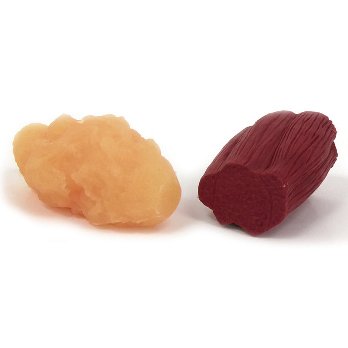fat chunk and mighty muscle models, 1 pound, realistic look and feel, Health Edco, 26025
