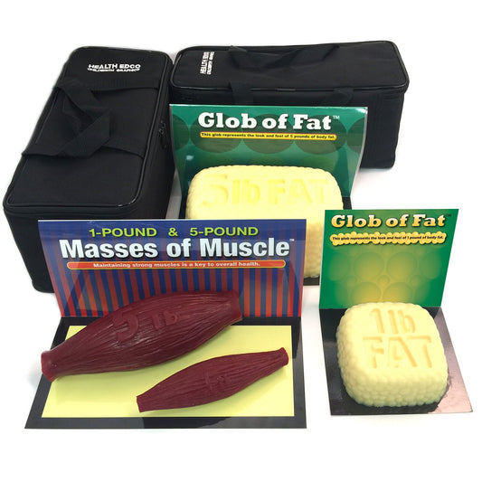Globs of Fat and Masses of Muscle Set 1 lb and 5 lb for health education by Health Edco, models with realistic feel, 26040