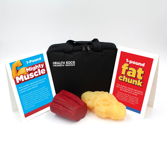 1-Pound Fat Chunk and Mighty Muscle Set, health education simulated pound of body fat and pound of muscle, Health Edco, 26131