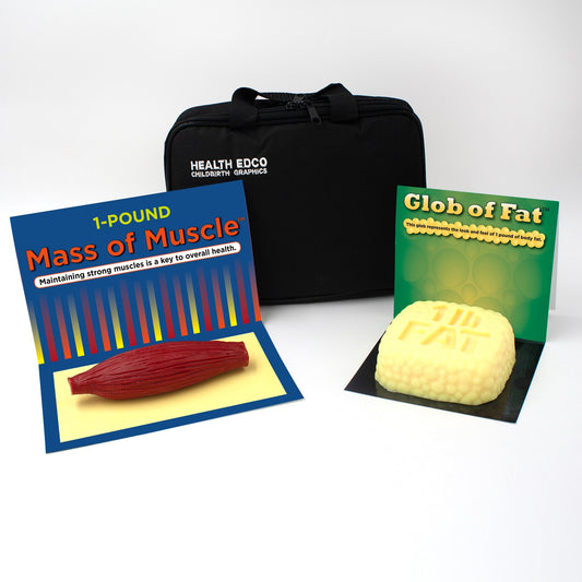 -Pound Glob of Fat and Mass of Muscle, health education model set with simulated fat and muscle models, Health Edco, 26133