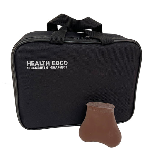 TSE (testicular self-exam model), brown skin tone, health education tool, two lumps in each testicle, Health Edco, 26400E