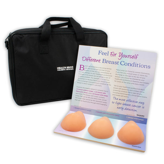 Multi Type BSE Model, Beige, three beige breast health education models, English Spanish display information and case, 26426