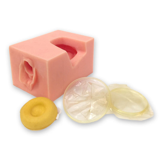 Female Pelvis Contraceptive Model, synthetic tissue model to practice proper insertion of contraceptives, Health Edco, 26462