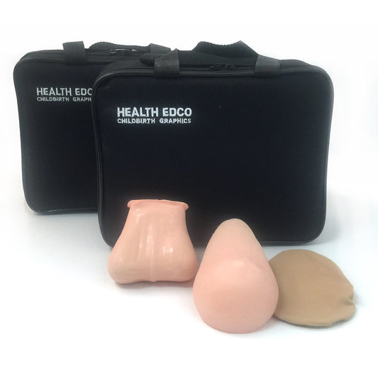 Teen TSE/BSE Model Kit, Beige  from Health Edco with teen breast and testicular self-exam models and two carrying cases, 26495