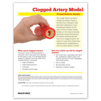 clogged artery model, English and Spanish presentation notes, enlarged view, simulated plaque build-up, synthetic tissue, squeezable, Health Edco, 26526