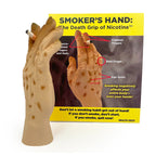 Smoker's Hand: The Death Grip of Nicotine Model, health education tobacco teaching tool with tent card, Health Edco, 27034