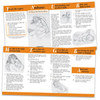 Newborns 20 Things You Need to Know two-color pamphlet front and back, 38624