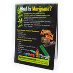 Marijuana Flip Chart from Health Edco, presentation panel explaining types of marijuana and how marijuana is used, 43111