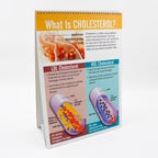 Cholesterol Flip Chart health education resource by Health Edco with panel teaching about LDL and HDL cholesterol, 43117