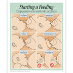 Breastfeeding Basics illustrated English/Spanish spiral-bound chart 6 steps starting a feeding, Childbirth Graphics, 43308