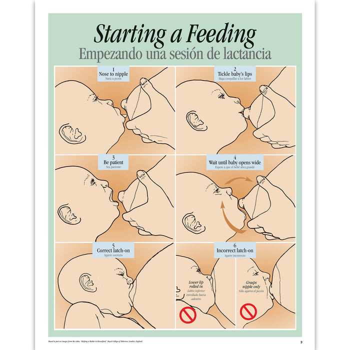 Breastfeeding Basics illustrated English/Spanish spiral-bound chart 6 steps starting a feeding, Childbirth Graphics, 43308