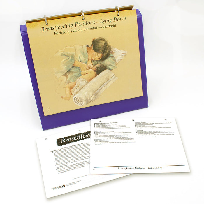 Breastfeeding Chart Collection, illustrated breastfeeding education charts and presentation notes, Childbirth Graphics, 50705