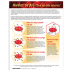 A1C Levels: An Inside Look tear pad for diabetes education from Health Edco, Spanish side explaining the A1C test, 52503