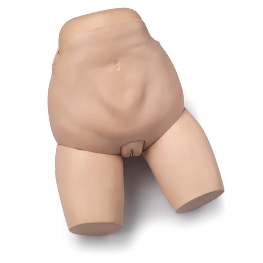 Fundus Skills And Assessment Trainer