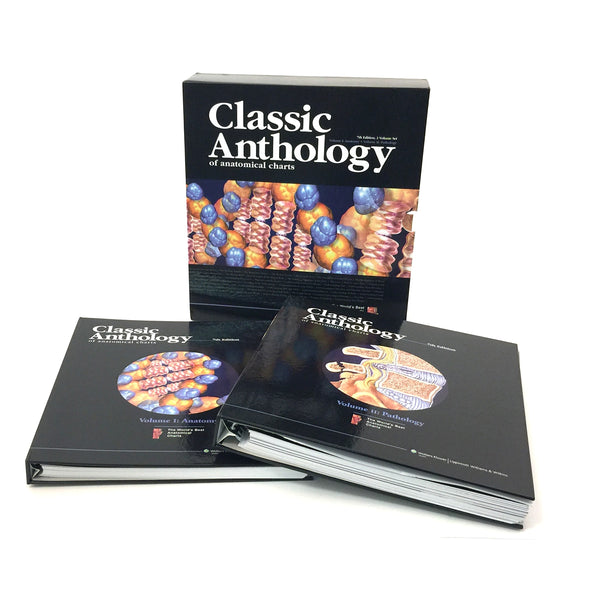 Classic Anthology of Anatomical Charts, 2-collection set, 7th edition