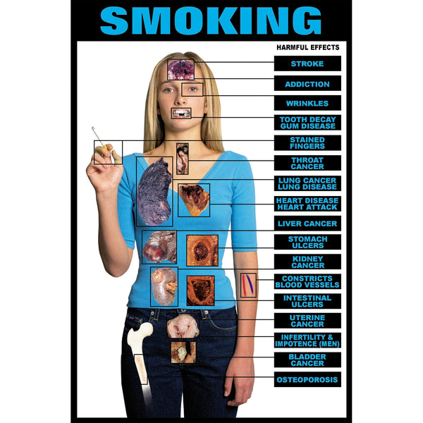 Harmful Effects of Smoking Chart