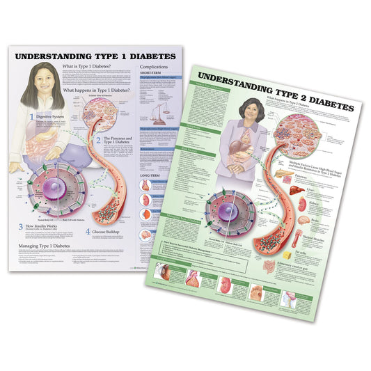 Diabetes Education Chart Set (2)