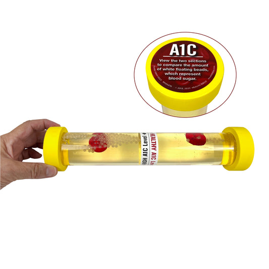 A1C Levels: An Inside Look Model, diabetes teaching model for health education for glycated hemoglobin, Health Edco, 75485
