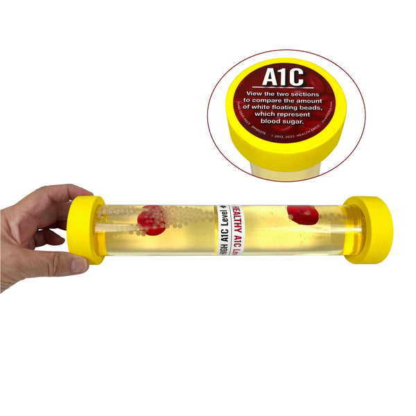A1C Levels: An Inside Look Model, diabetes teaching model for health education for glycated hemoglobin, Health Edco, 75485