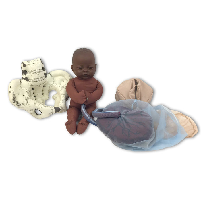 Cloth Pelvic Model Set for Childbirth Education with Fetal Model in dark brown skin tone, Childbirth Graphics, 78019