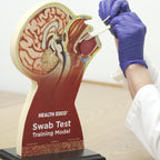 Swab Test Training Model for healthcare training by Health Edco, model used to demonstrate throat swab testing, 78034