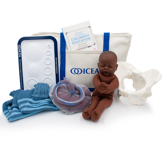 ICEA Childbirth Educator Tool Kit With Dark Brown Fetal Model by Childbirth Graphics, childbirth education teaching tools, 78832