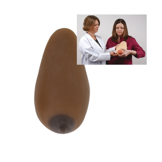 Lactation Model, Brown