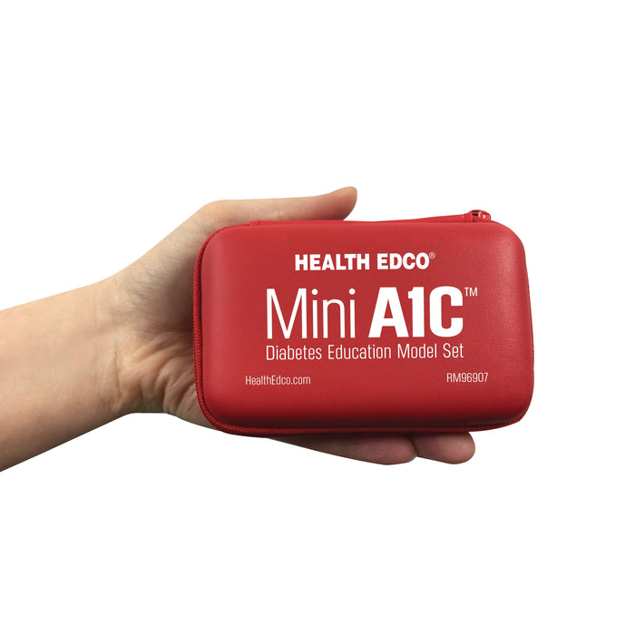 Mini A1C Diabetes Education Model Set Case containing test tubes, diabetes education materials and models, Health Edco, 79820