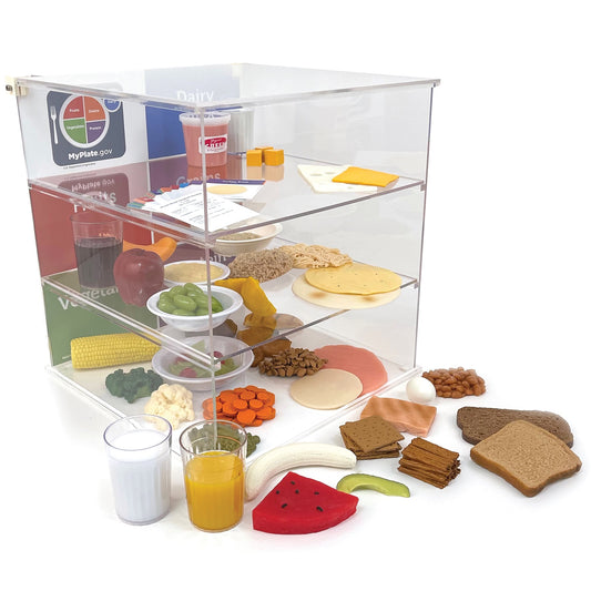MyPlate Plexiglas Display With Deluxe Faux Foods Package, MyPlate health education display with food models Health Edco 78960