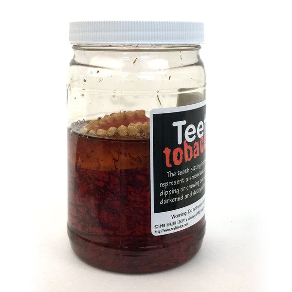 Teeth in Tobacco Juice