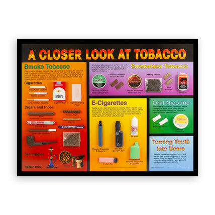 A Closer Look at Tobacco 3-D Display, health education display showing diversity of tobacco products, Health Edco, 79225