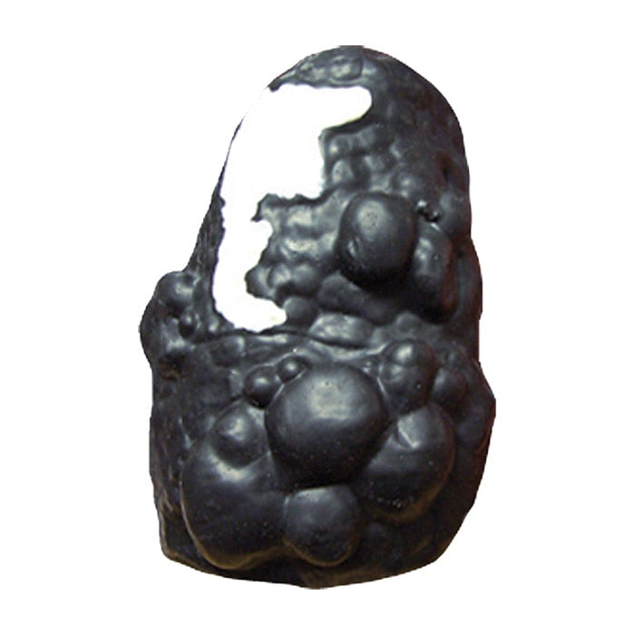 Model of lung depicting lung cancer and COPD from Health Edco's Lou-Wheeze Smoker's Lung Comparison Model, 79261