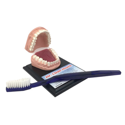 Mr Clean Mouth with Giant Toothbrush