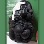 Gasping Gary Smoker's Lungs Comparison Model, close up of inflatable empheysema lung model, Health Edco, 79555