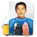Breathless Brian Smoker's Lungs Comparison Model, male model display with inflatable latex lungs, Health Edco, 79556