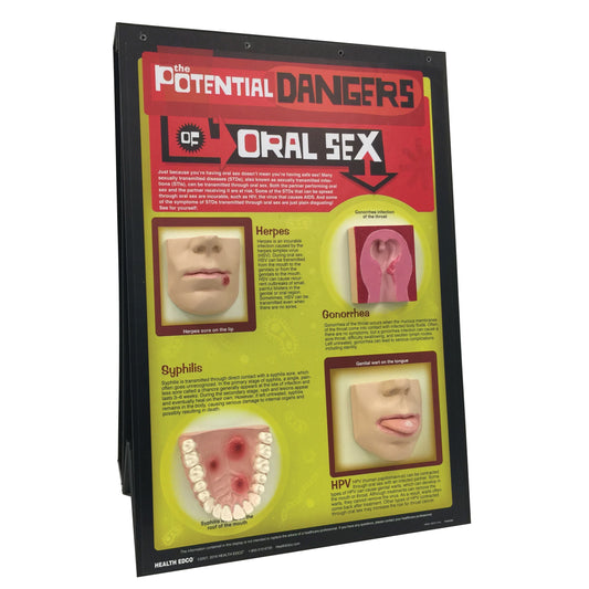 The Potential Dangers of Oral Sex 3-D Display