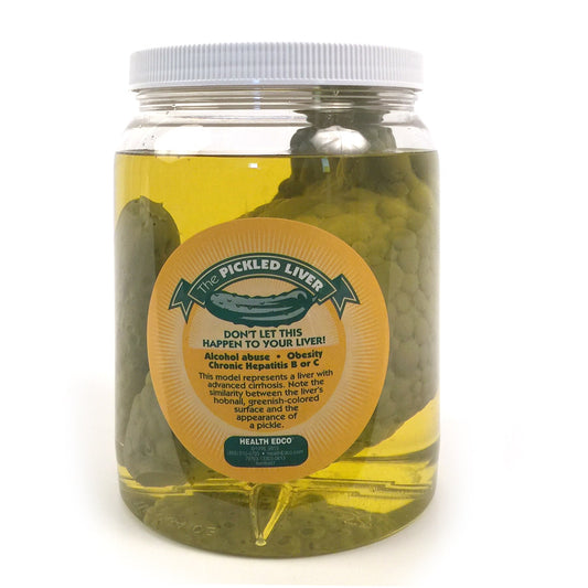 Pickled Liver Model