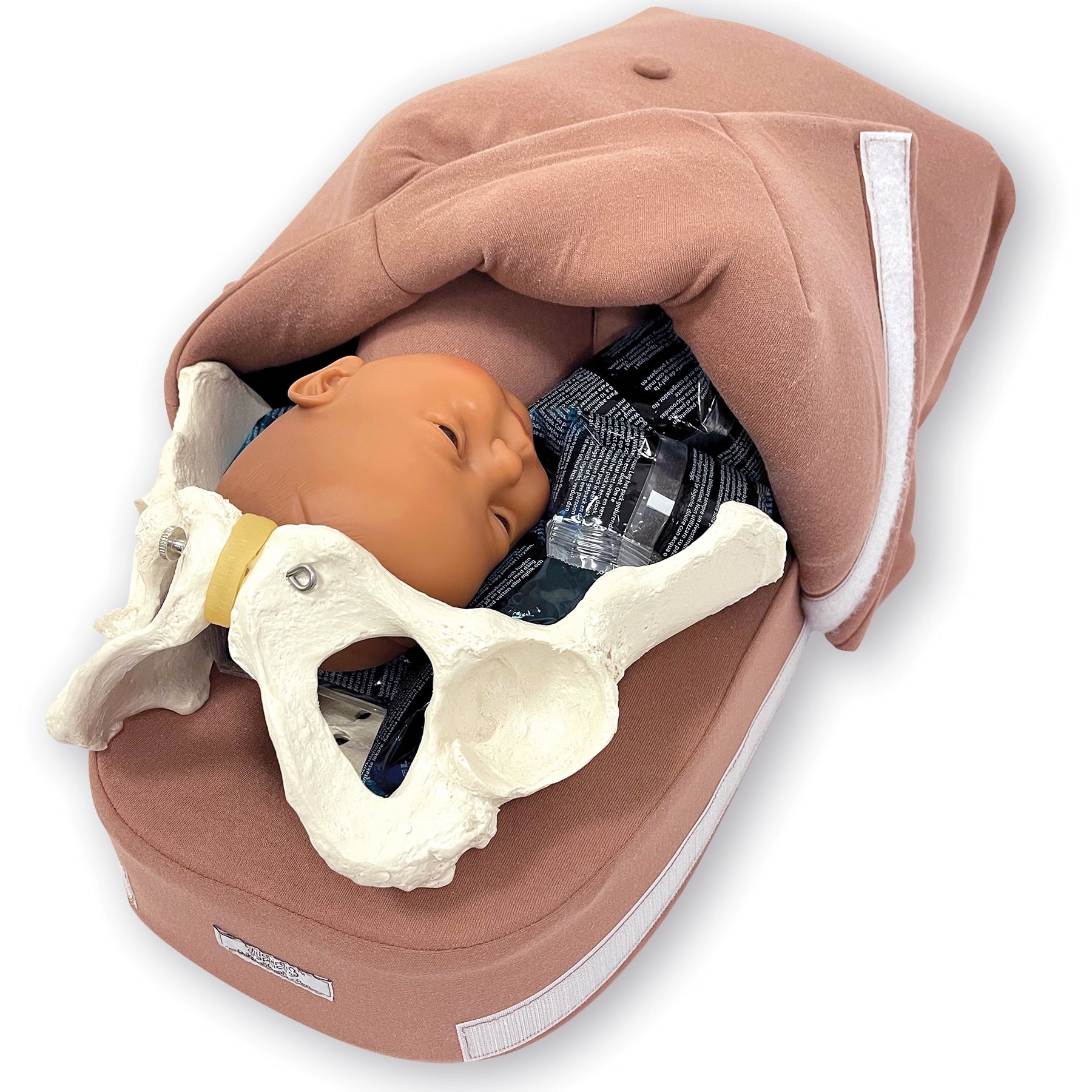 Abdominal Palpation Training Model | Childbirth Graphics – healthedco