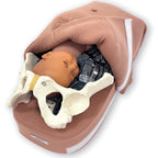 Abdominal Palpation Model, childbirth education model with cover open to show fetus and pelvis, Childbirth Graphics, 79820
