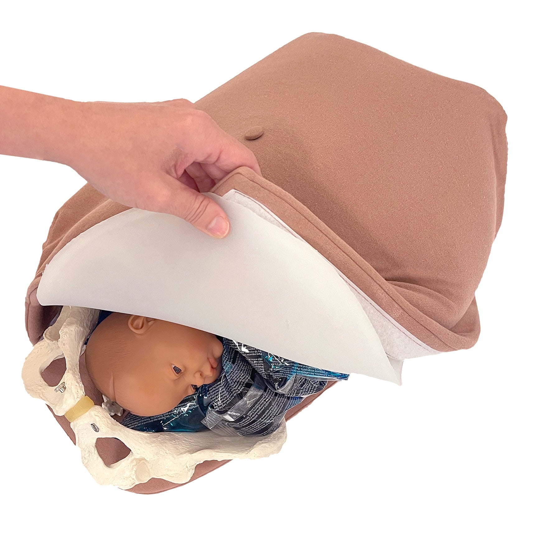 Abdominal Palpation Training Model | Childbirth Graphics – healthedco