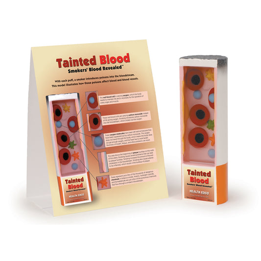 Tainted Blood: Smokers' Blood  Revealed Display