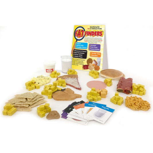 Fat Finders Display, health education activity with food models, food information cards, and fat cubes, Health Edco, 79988