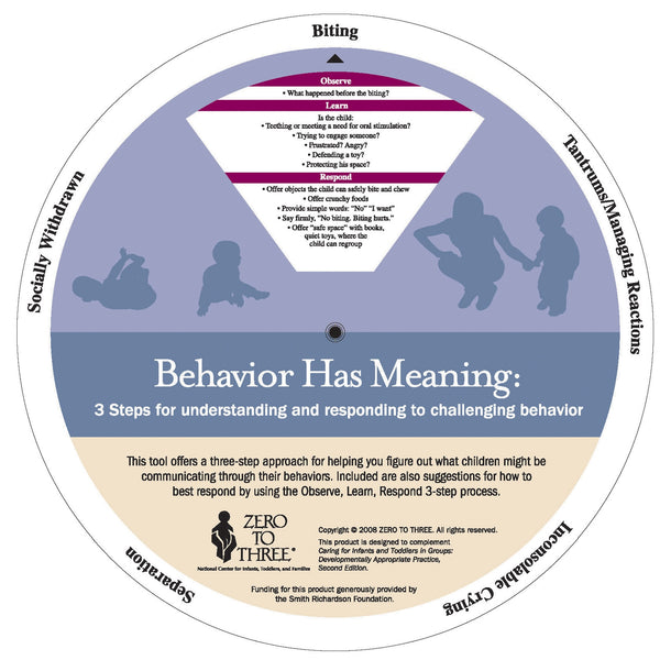 Behavior Has Meaning Wheels (10)