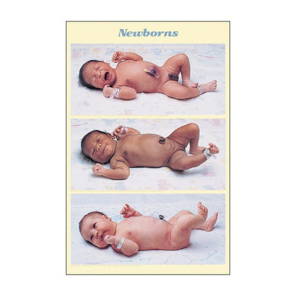 Newborn Size Comparison Chart, 3 separate full-term baby photos hispanic black caucasian each lying on back, Childbirth Graphics, 89635