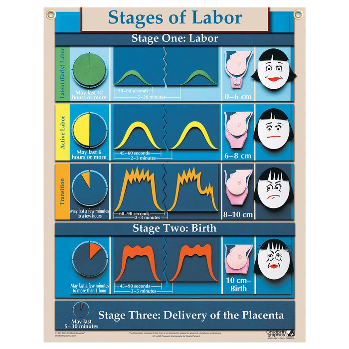 Stages of Labor Chart, childbirth education chart with cutout graphics in English and Spanish, Childbirth Graphics, 90630