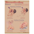 Breastfeeding Basics Chart, breastfeeding education chart in Breastfeeding Chart Set (8), Childbirth Graphics, 90809