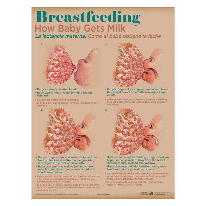 Breastfeeding: How Baby Gets Milk, breastfeeding education chart in Breastfeeding Chart Set (8), Childbirth Graphics, 90809